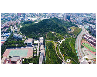 香港正版全年资料